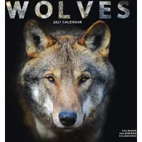 Avonside Publishing Ltd. Wölfe Kalender 2027