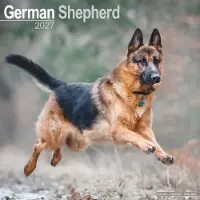Avonside Publishing Ltd. Deutscher Schäferhund Kalender 2027