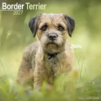 Avonside Publishing Ltd. Border Terrier Kalender 2027