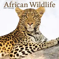 Avonside Publishing Ltd. Afrikanische Wildtiere Kalender 2027