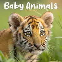 Avonside Publishing Ltd. Babytiere Kalender 2027