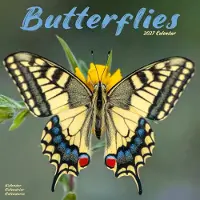 Avonside Publishing Ltd. Schmetterling Kalender 2027