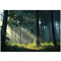WALLARENA FOTOTAPETE Wald Sonne Natur Wohnzimmer Vlies Tapete 250x175