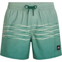 O'Neill First 15'' Swimshorts green heritage flip flop (26031) XL