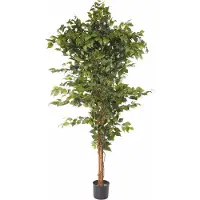 Otto Home Kunstpflanze "Ficus Benjamini"
