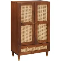 vidaXL Hochschrank Braun 60 x 33,5 x 100 cm Massivholz Mango