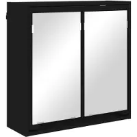 vidaXL Badezimmerspiegelschrank Schwarz 60 x 20 x 60 cm Holzwerkstoff
