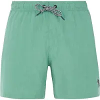 Protest Badeshorts Herren Davey Frosty Green-S