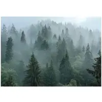 WALLARENA Fototapete Wald in Grün | Gr.: 250 x 175 cm