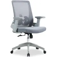 Idimex Bürodrehstuhl CAPVAL höhenverstellbar mit Lendenstütze, grau - ergonomischer Schreibtischstuhl mit Mesh-Rücken, moderner Drehstuhl, bequemer Bürostuhl für Home-Office [bis 120 kg]
