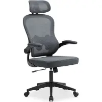 Idimex Bürodrehstuhl JOBURG höhenverstellbar mit Armlehnen, grau – ergonomischer Schreibtischstuhl mit Netzrücken und Lendenstütze für Home Office und Büro – Drehstuhl mit Rollen PC Stuhl