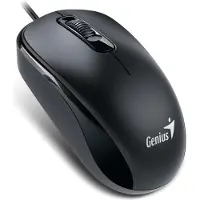 Genius DX-120 Maus Black Typ-C
