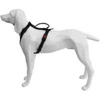 Freedog Extreme Hundegeschirr