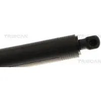 TRISCAN Gasfeder, Koffer-/Laderaum 8710 29325