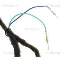 TRISCAN Gasfeder, Koffer-/Laderaum 8710 28302