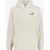 Puma Essential 2 Color Small Nº1 Logo Kapuzenpullover