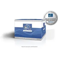 DT Spare Parts Blinkleuchte 685004 beidseitig für RENAULT