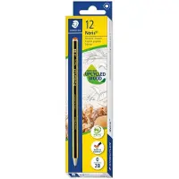 Staedtler Noris, 2B, Schwarz, Gelb, Deutschland, PEFC, 2 mm, 12 Stück(e)