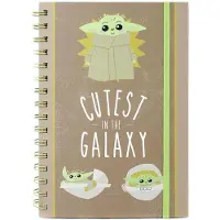 Pyramid Star Warts: The Mandalorian (Cutest in the Galaxy) A5 notebook