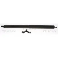 TRISCAN Gasfeder, Koffer-/Laderaum Links 871023307