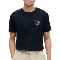 Tommy Hilfiger Script Stack Regular Desert Sky Größe: L | Basic T-Shirts Outlet | Herren