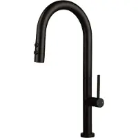 Deante Küchenarmatur Mit Ausziehbarem Auslauf Und 2 Strahlarten