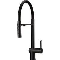 Deante Kitchen faucet with filter connection & flex spout