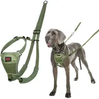 Company of animals No Pull Harness - Forest Green - L