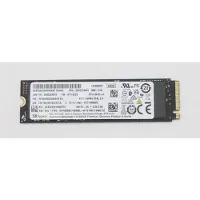 Lenovo 5SS0V26441, 256 GB, M.2