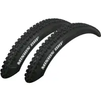 Maxxis 2x Minion DHF 66-622 DualCompound EXO Protection Faltreifen 29x2.60