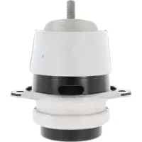 CORTECO Motorlager Hydrolager für VW Touareg (7LA, 7L6, 7L7) 80001077