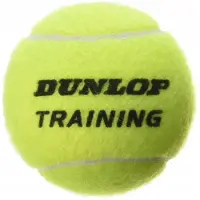 Dunlop KugelDunlop Training T60w P8876