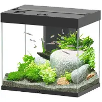 Aquatlantis Aquarium Splendid 110 inkl. Beleuchtung, Filter schwarz
