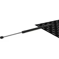 RIDEX Gasfeder Motorhaubendämpfer 539mm für VW Touareg (7LA, 7L6, 7L7) 125N 514G0027