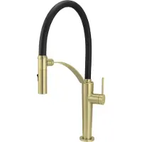 Deante Kitchen faucet with flexible spout - 2 types of spray
