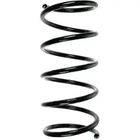 SPIDAN Fahrwerksfeder Hinten für HYUNDAI TERRACAN (HP) 55492