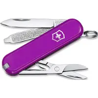 Victorinox Classic SD Taschenmesser Tasty Grape