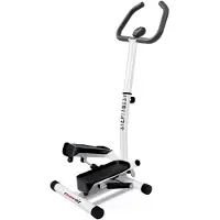 Everfit Step-Twist