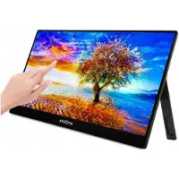 Arzopa A1T, 39,6 cm (15.6"), 1920 x 1080 Pixel, Full HD, LCD, 25 ms, Grau