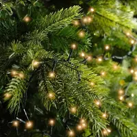 Kaemingk Lumineo Lichterkette Compact 3000 LED klassisch warma außen 60 m grün