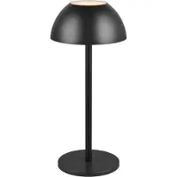 TRIO - Tischlampe RICARDO - Schwarz - 13.5x13.5x30 cm