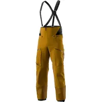 Dynafit - Technische Hose aus GORE-TEX PRO - Tigard Gtx Pro Pant M Relic für Herren - Größe S - Braun
