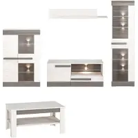 Feldmann-Wohnen Wohnzimmer-Set "Blanco" Wohnwand 5-teilig Pinie weiß grau MDF
