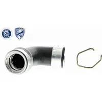 VAICO Ladeluftschlauch VW A3, Golf V, Touran