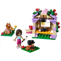 LEGO Friends Andreas Berghütte 41031
