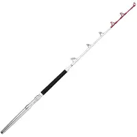 Rapala Magnum Rh 5'8 Roller 2P 173cm 20-30lbs - Bootsrute