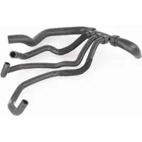 VAICO Kühlerschlauch Wasserschlauch für RENAULT SCÉNIC II (JM0/1) V46-1621
