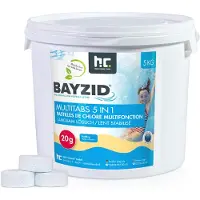 Höfer Chemie 1x5 kg BAYZID Multitabs 20g 5in1 zur Dauerchlorung und stabile Wasserwerte