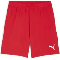 Puma teamGOAL Shorts Flock: - Größe: 3XL