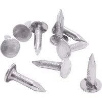 DAPRONA Dachpappennägel, Dachpappstift, Pappnägel Silber 20mm Zur Befestigung von Dachschindeln, Dachpappe oder Kunststoffplanen